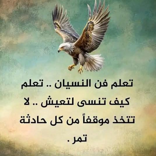 منوعات اخباريه جديده