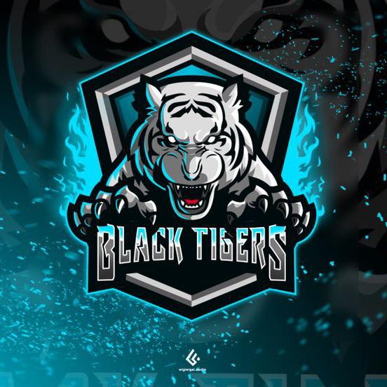 TIGRE CHAMPIONS